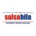94.1 Salsabila FM Logo