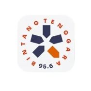 Indonesian Scout Radio Logo