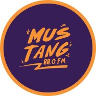 Mustang 88 FM Logo