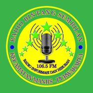 Radio Bintang Sembilan Logo