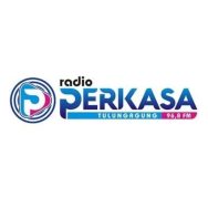 Radio Perkasa FM Logo