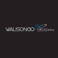 Walisongo FM Logo