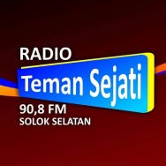 Radio Teman Sejati Logo