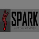 SPARK RADIO