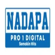 Nadapa Pro 1 Digital Logo