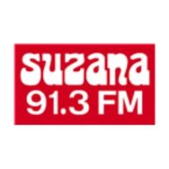 Suzana 91.3 FM Logo